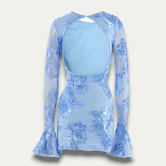 Eleka Mesh Mini Sleeved Dress