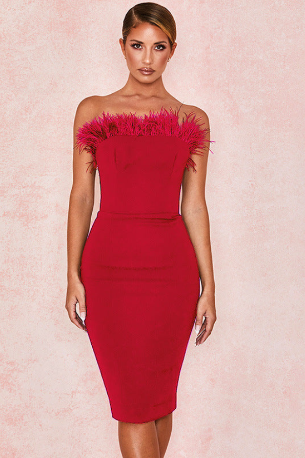 CHIC FEATHER ELEGANT VICTORIA DRESS Aclosy