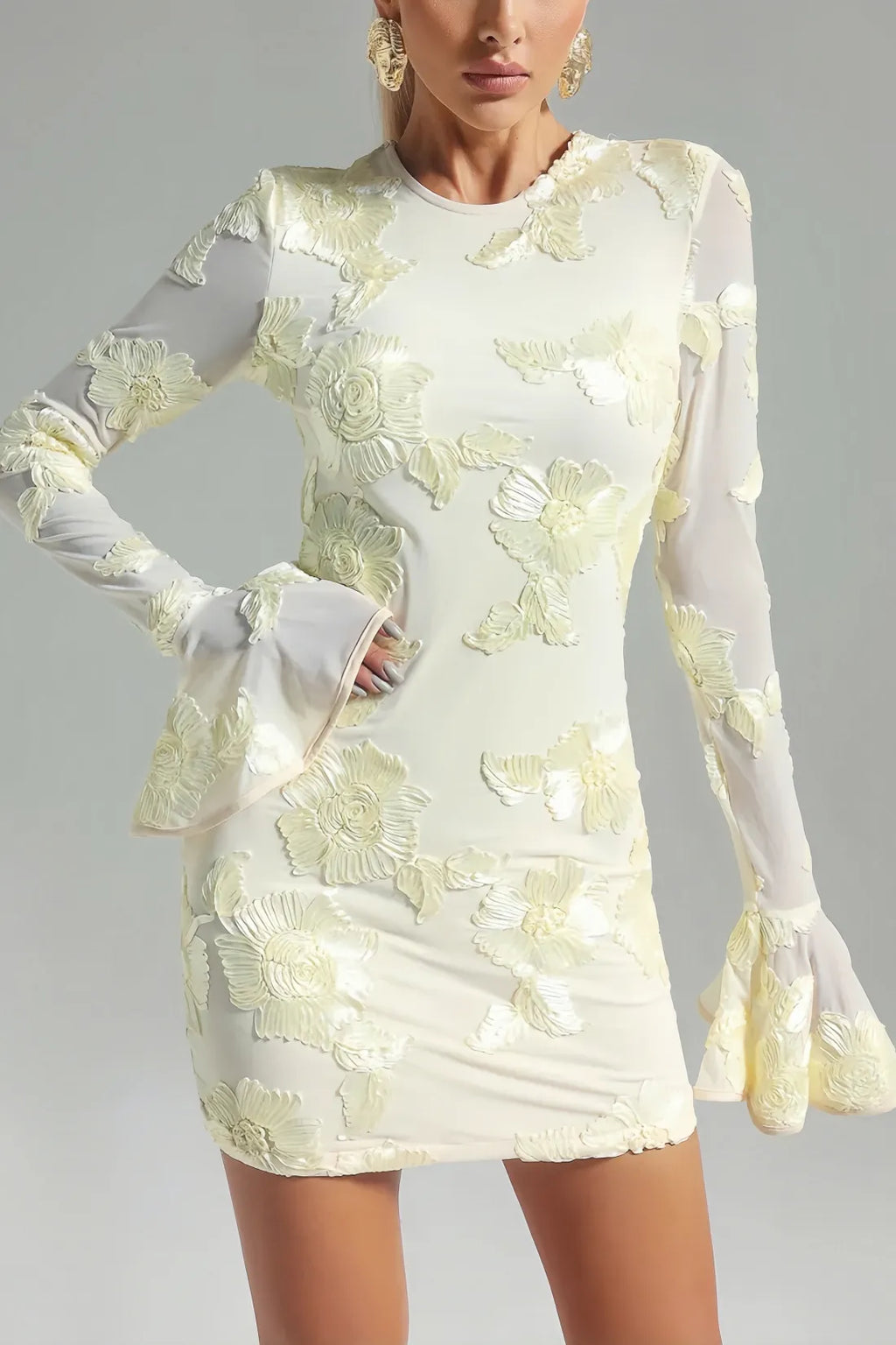 Eleka Mesh Mini Sleeved Dress