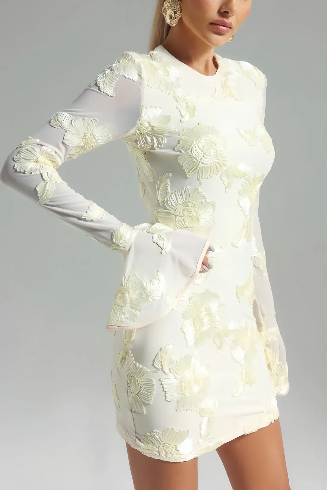 Eleka Mesh Mini Sleeved Dress