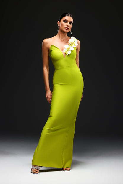 Alyia Strapless Elegant Maxi Dress