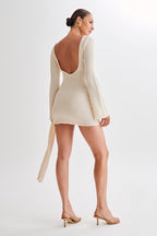 Dera mesh sleeved mini backless dress