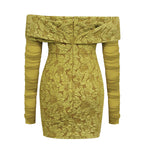 Elegant Mesh Long Sleeve Mini Dress Aclosy