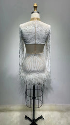Long Sleeve Feather Diamond Tight Dress Aclosy