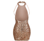 Backless Halter Sequins Mini Skirt Tight Ladies Party Dress Aclosy