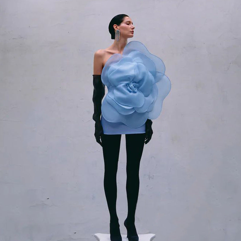 Aluya Oblique Shoulder Elegant Dress