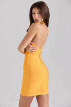 Cessia Corset-Fit Backless Halter Bandage Mini Dress (Copy) aclosy