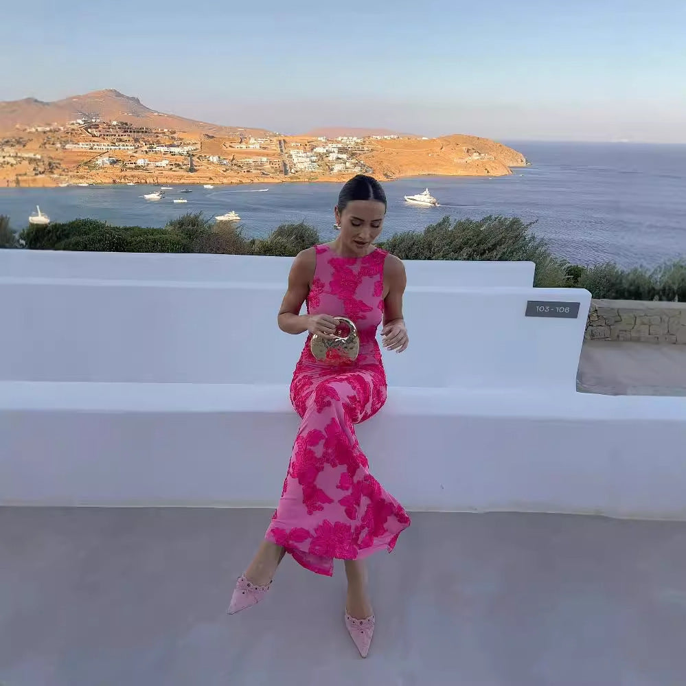 Charming Mesh Sheath Maxi Dress