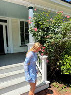 Eleka Mesh Mini Sleeved Dress