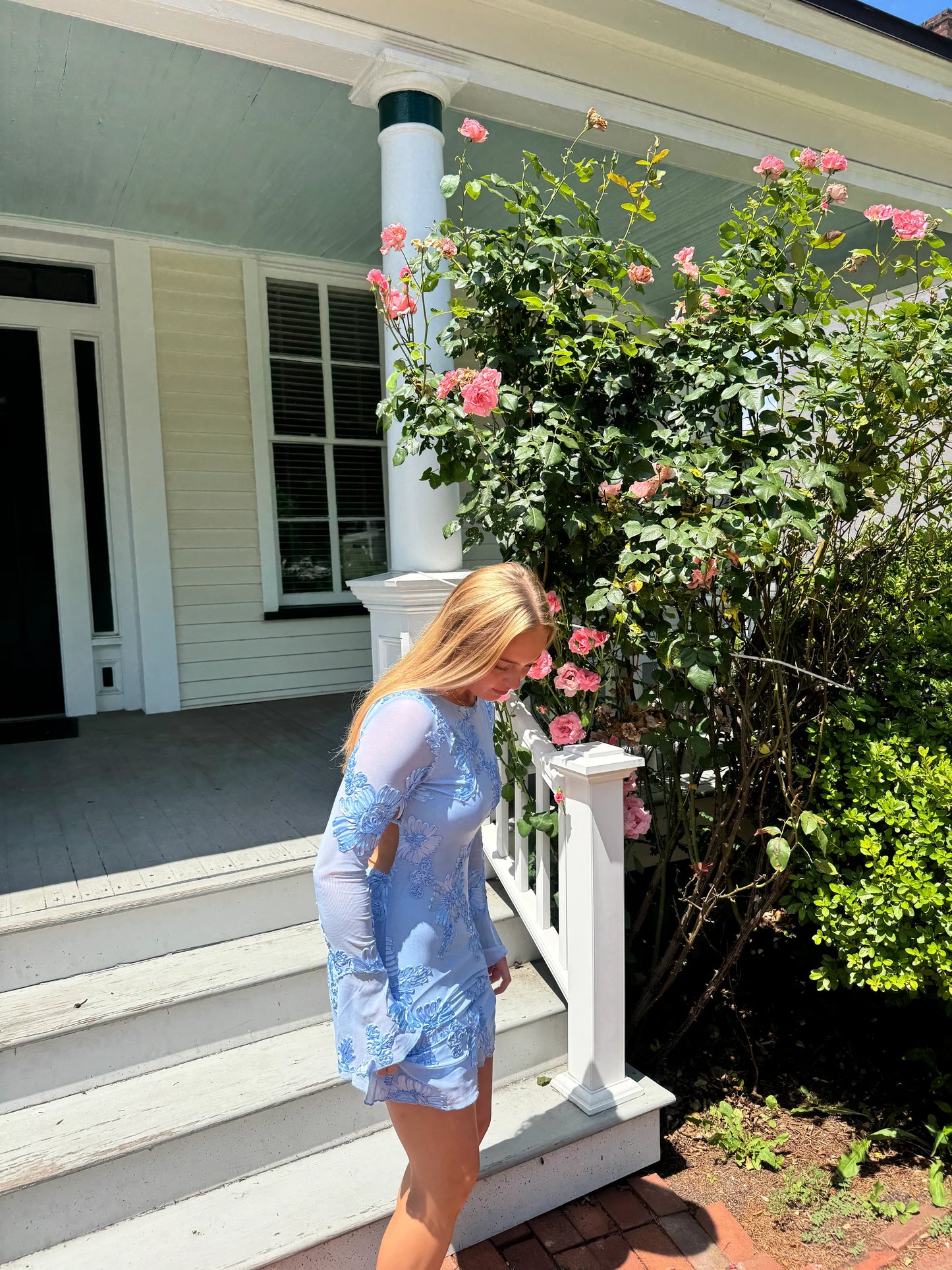 Eleka Mesh Mini Sleeved Dress