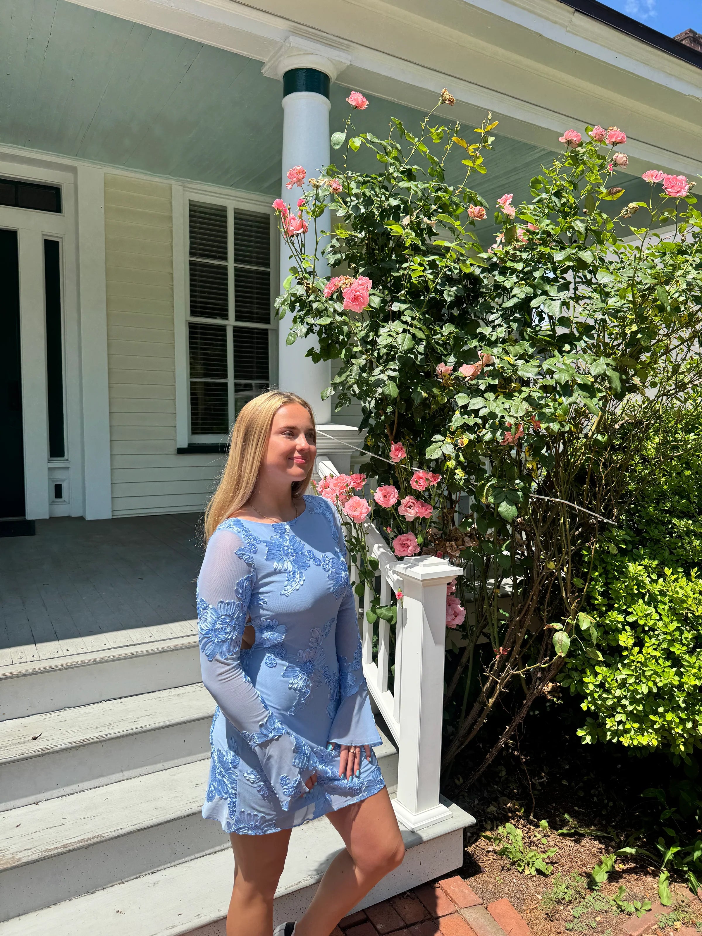 Eleka Mesh Mini Sleeved Dress