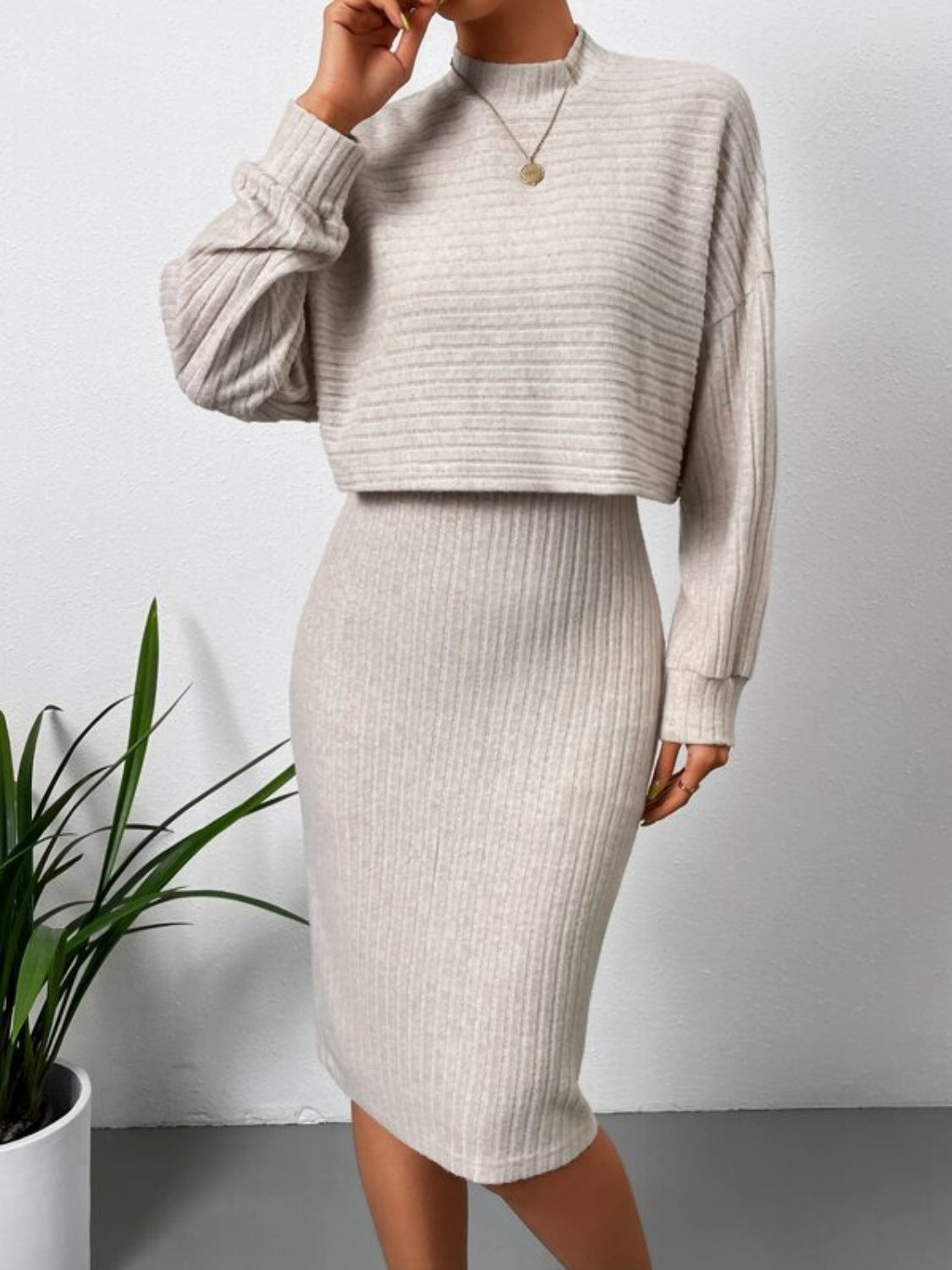 Mock Neck Long Sleeve Top and Wide Strap Dress Set Trendsi