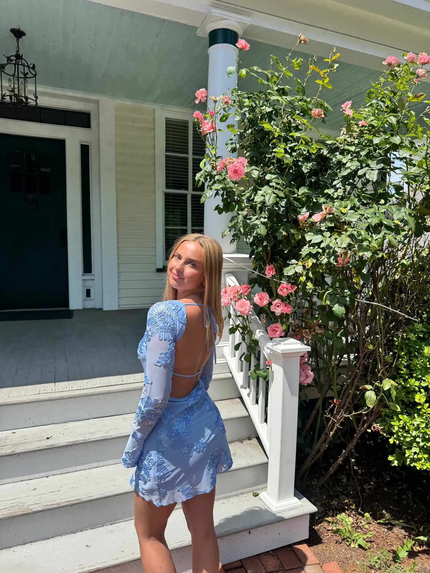 Eleka Mesh Mini Sleeved Dress