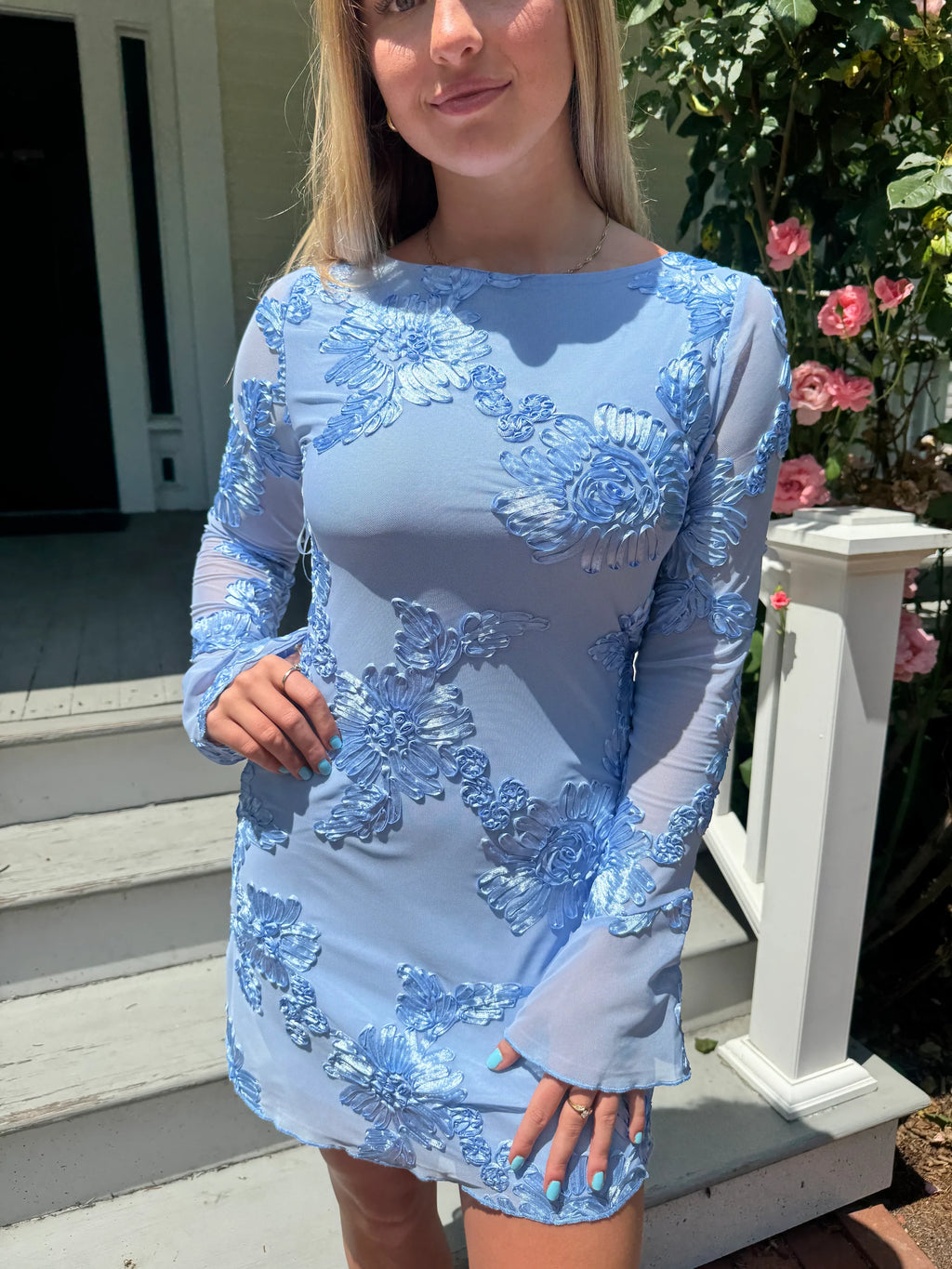 Eleka Mesh Mini Sleeved Dress