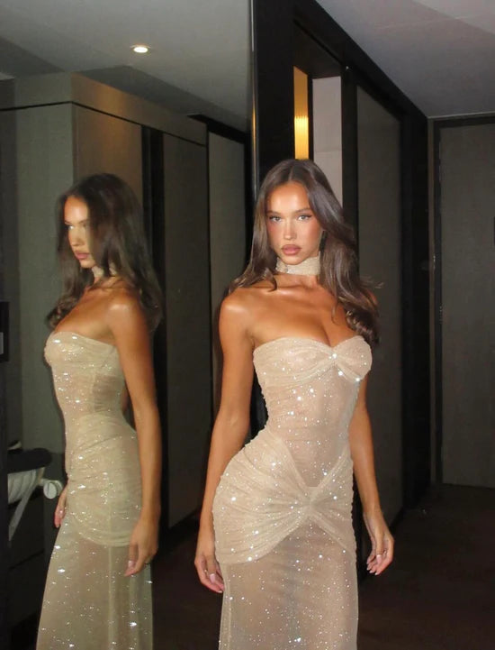 Elegant Strapless Shiny Backless Dress aclosy