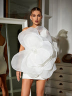 Aluya Oblique Shoulder Elegant Dress