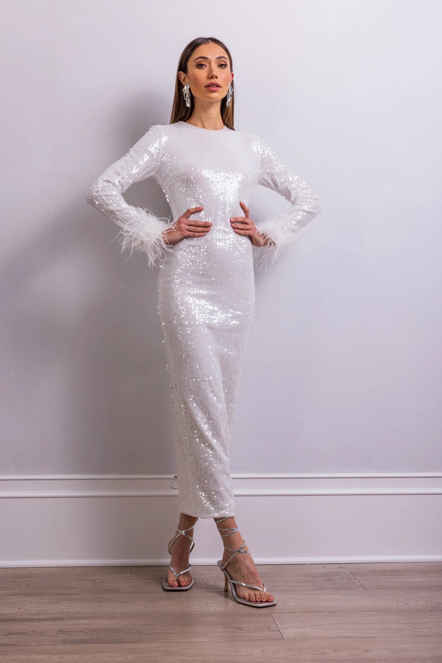 Casenia Feather Long Sleeve Sequins Dress