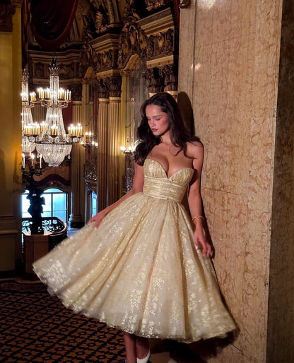 Socialite Bronzing Lace Tube Top Fishbone Mesh Puffy Dress #aclosyESL