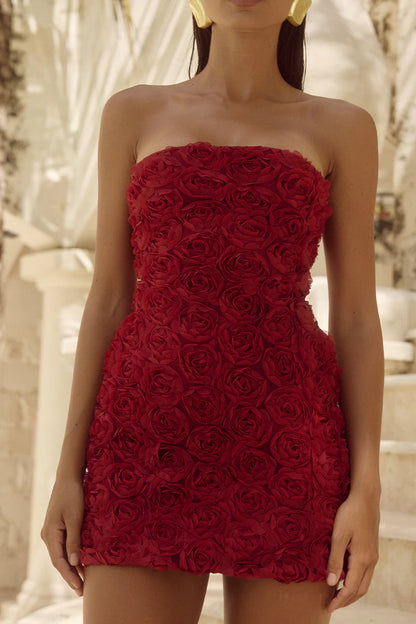 CLESSA MINI RED ROSE DRESS