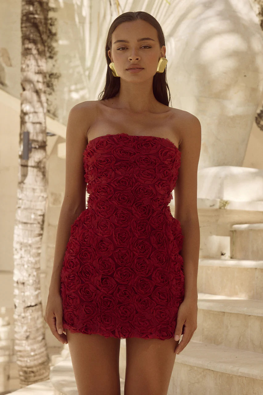 CLESSA MINI RED ROSE DRESS – Aclosy