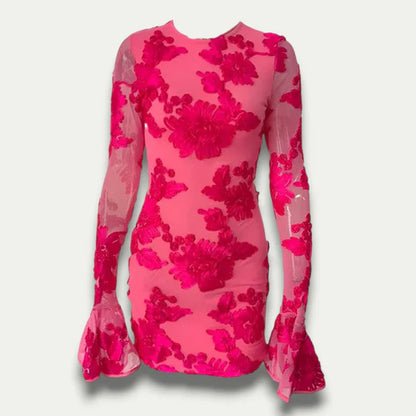 Eleka Mesh Mini Sleeved Dress