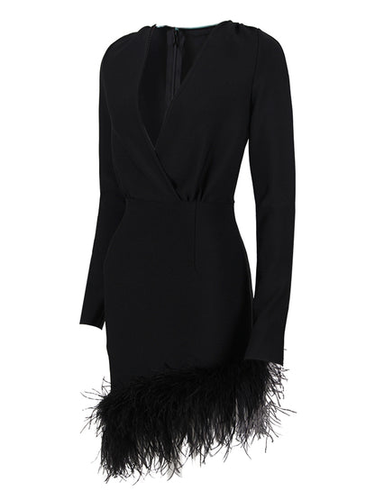 Ostrich Feather Long Sleeve Dress aclosy