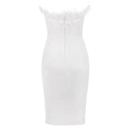 Chic Victoria Feather Dress Aclosy