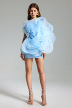 Aluya Oblique Shoulder Elegant Dress