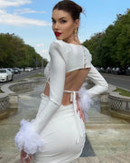 Women's Open-back Feather Long-sleeved Dress Aclosy