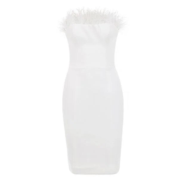 Chic Victoria Feather Dress Aclosy