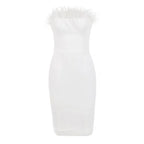 Chic Victoria Feather Dress Aclosy