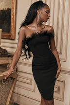 Chic Victoria Feather Dress Aclosy