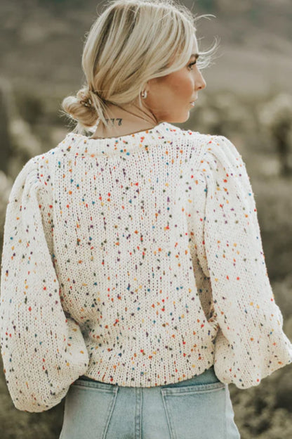 Confetti Round Neck Long Sleeve Sweater Trendsi