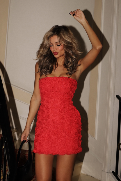 CLESSA MINI RED ROSE DRESS