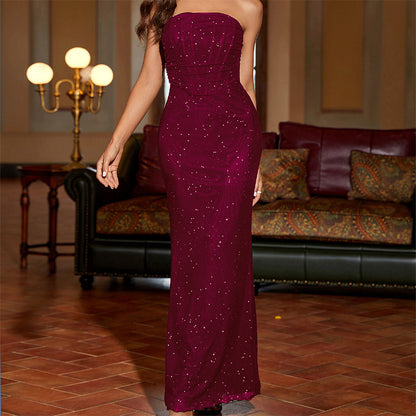 Salena Elegant Mesh Strapless Backless Maxi Dresss