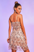 Sexy V-neck Sequin Fringed Dress aclosy