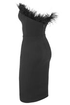 Chic Victoria Feather Dress Aclosy