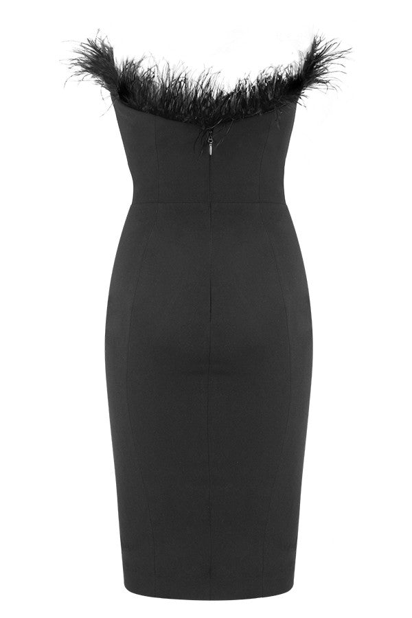 Chic Victoria Feather Dress Aclosy