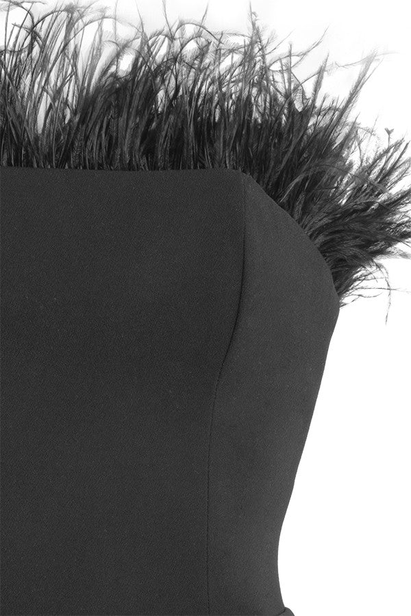 Chic Victoria Feather Dress Aclosy