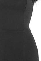 Chic Victoria Feather Dress Aclosy