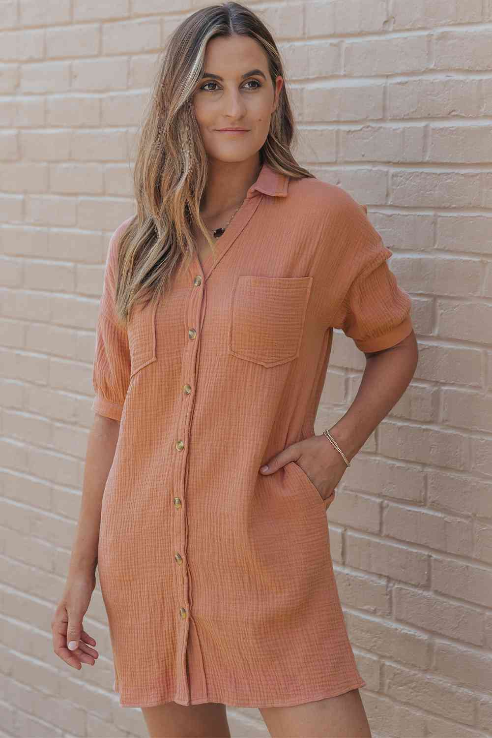 Collared Neck Mini Dress with Pockets Trendsi