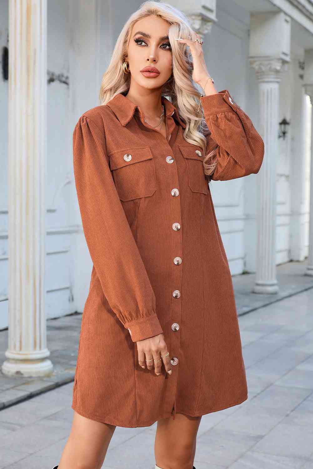 Button Down Puff Sleeve Dress Trendsi