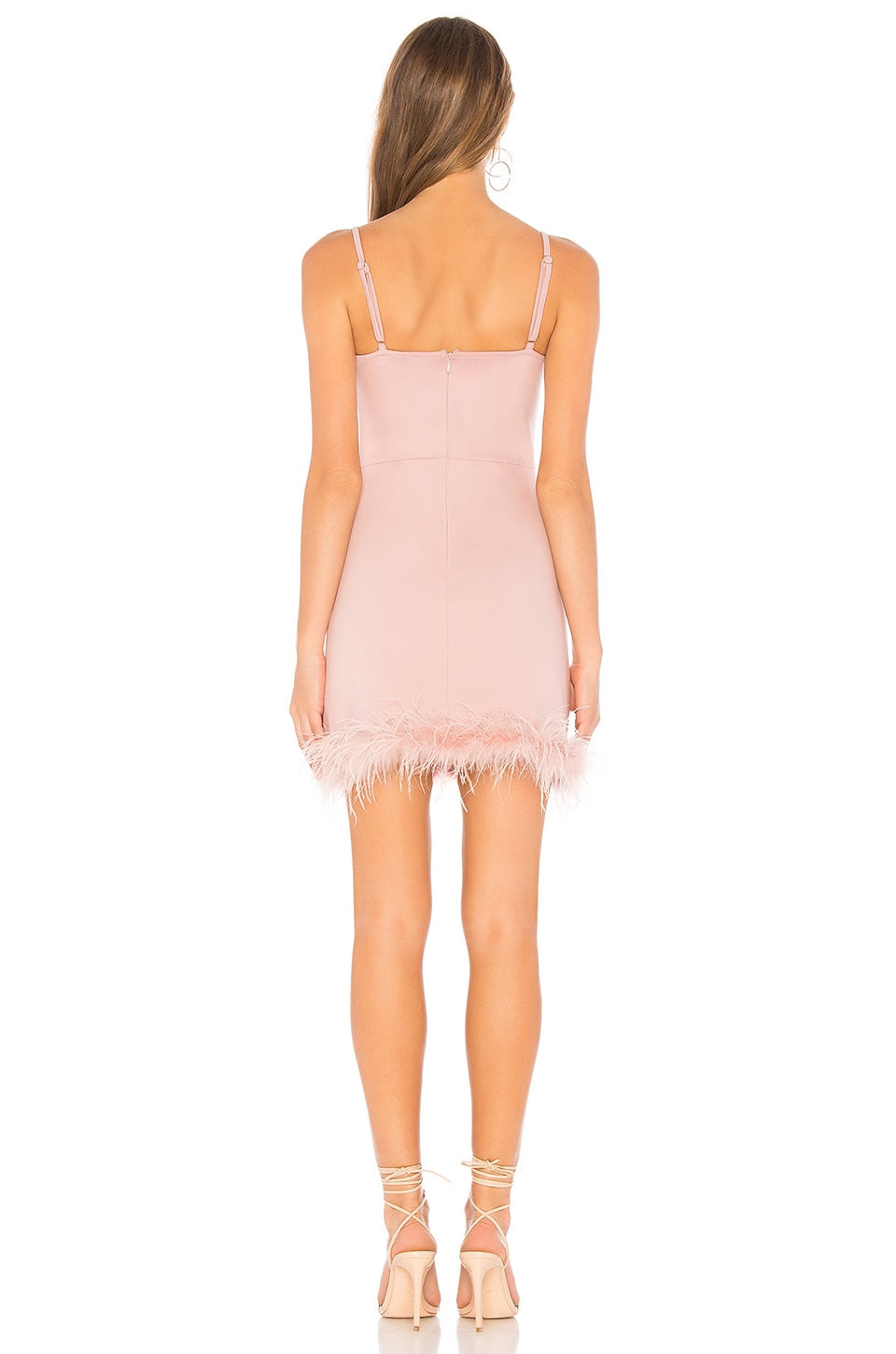 Mini Cassey Feather Party Dress aclosy