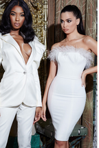 Chic Victoria Feather Dress Aclosy